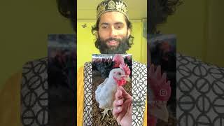 ghar mein Safed Murga palne ke fayde hadees murga sorts [upl. by Yedorb]