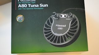 Unboxing  Kessil A80 Tuna Sun LED 4K [upl. by Thad]