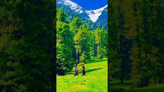 Kashmir beautiful places  beauty of kashmir [upl. by Hoebart]