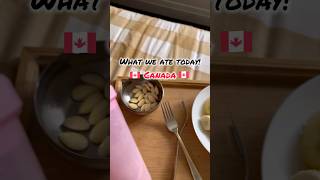 Vlog What We Eat In A Day vlog indianincanada [upl. by Kosaka850]