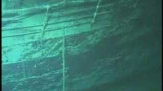 World War II Shipwreck Found [upl. by Tews383]