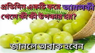 আমলকীর উপকারিতা ও ঔষধি গুণ Amlokir upokarita o gunagun alochona etc [upl. by Vez]