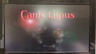 Canis Lupus Entertainment Logo 2000 [upl. by Nref790]