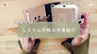 ❁手帳の中身紹介❁システム手帳┃ファイロファックス┃ミニ6┃持ち歩き手帳 [upl. by Leahsim]