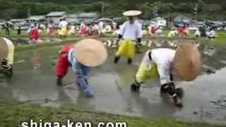 Yuki Saiden RicePlanting Festival Shiga Japan 悠紀斎田 お田植えまつり [upl. by Zoa857]