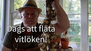 Flätar vitlök [upl. by Payson]