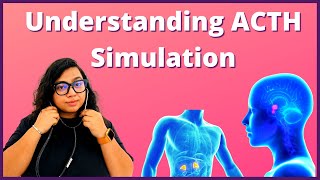 ACTH Stimulation Test Explained  Procedure Results and Risks Explained [upl. by Martsen533]