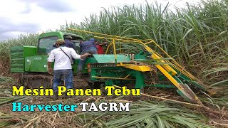 Mesin Panen Tebu  Mekanisasi Pertanian Pada Tanaman Tebu Harvester TAGRM [upl. by Ahsekim]