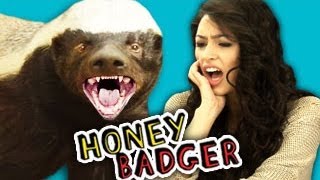 Teens React to the Honey Badger ft Alex Steele [upl. by Nostaw]