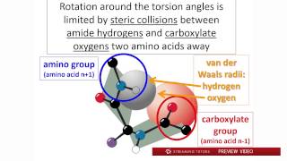 Biochemistry Protein Secondary Structure tutorial [upl. by Asik]