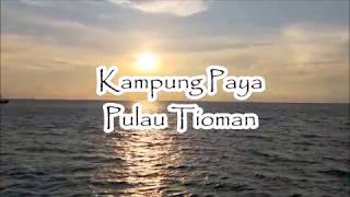 VLOG  KAMPUNG PAYA TIOMAN ISLAND TRIP18 [upl. by Ecinahc467]