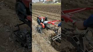 removal and ridge making with one plow stubble removal and ridge making shorts [upl. by Winters]