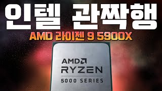 괴물이다 괴물 RYZEN 5900X 작업성능 벤치마크 AMD vs Intel [upl. by Ruzich]