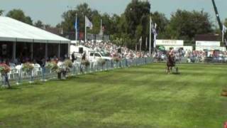 CH046 Tuigpaarden006 ereklasse CH  Concours Hippique van Buitenpost [upl. by Londoner]