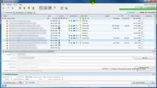 Putdrive with jDownloader Download Speed Test [upl. by Corel674]