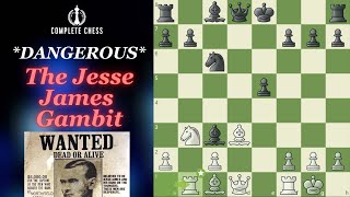 This NEW Gambit Beat a GM in 12 Moves │Game Review [upl. by Anoniw]