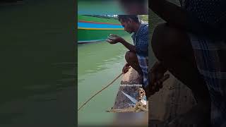 Unique Way of Rabbit fish Fishing in River fishingislife fishing bestfishingtechniques [upl. by Luapleahcim]