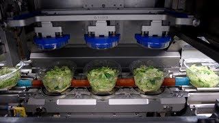 Tramper S360  tray sealing line for fresh produce prepared salads salad bowls [upl. by Uund]