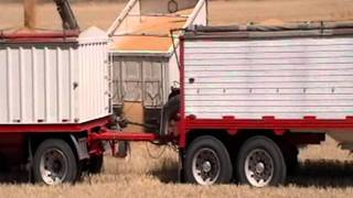 Wheat Harvest in the Palouse [upl. by Kwei]