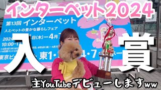 【インターペット2024★ハッピーグルーミングコンテスト我が愛犬で入賞🏆】主YouTubeデビューします笑 [upl. by Georgi183]