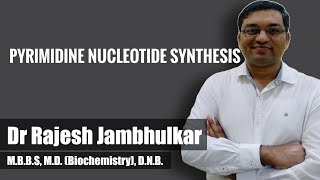 Pyrimidine nucleotide synthesis and degradation [upl. by Sonitnatsok692]