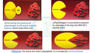 THROMBOLYTIC DRUGS [upl. by Enimzzaj]