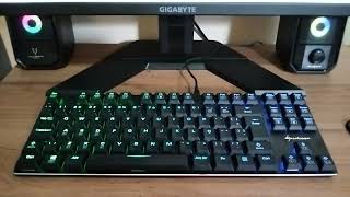 Teclado Mecânico Sharkoon PureWriter TKL RGB  Primeiras impressões [upl. by Ecniv]