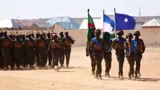 Qardho  Xorgoble Dufcadii Koowaad Ee Guutada Galaydh Puntland [upl. by Caundra]