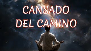 Cansado del camino Letra [upl. by Searle841]