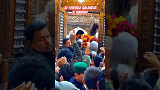 Lal Shahbaz Qalandar ki Mahindi vlog rananadeemsehwani lalshahbazqalandar dhamal live [upl. by Aicaca]