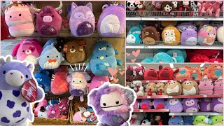 Squishmallow Hunting  VALENTINES DAY SQUISH GALORE [upl. by Renrew]