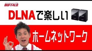 DLNAで楽しい 無線LANホームネットワーク【バッファロー公式】 [upl. by Lynnelle298]