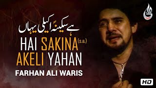 Farhan Ali Waris  Hai Sakina Akeli Yahan  Noha  2013 [upl. by Oalsecnew]