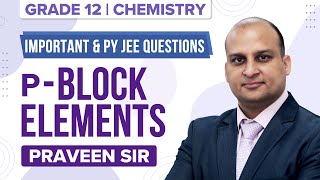 pBlock Elements Class 12 Chemistry Ch7  JEE Main Important amp Previous Year Questions  JEE 2022 [upl. by Adile]