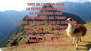 los kipus  mi cariñito letra [upl. by Eninaej]