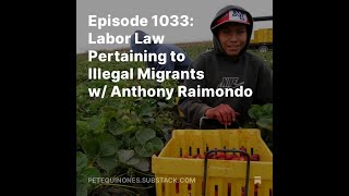 Episode 1033 Labor Law Pertaining to Illegal Migrants w Anthony Raimondo [upl. by Okikuy490]