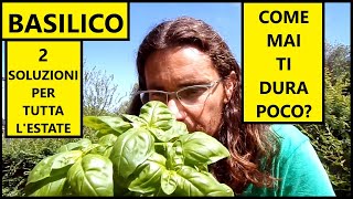 😱 GUIDA DEFINITIVA per NON FAR MORIRE IL BASILICO 😱  Tutorial Agricoltura [upl. by Elleinaj]