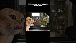 POV Average 3am McDonalds Experience [upl. by Htebzil]