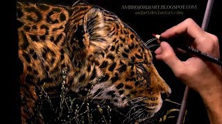 Leopard Scratchboard with Color Ambrojordiart [upl. by Roper205]