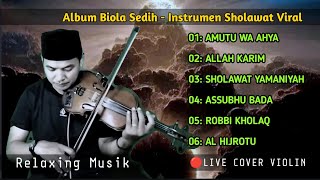 Album Biola Sedih  Instrumen Sholawat Viral  Cover Biola [upl. by Bronez]