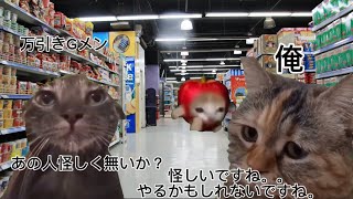 ドンドンなスーパーで高校生バイトする日常（猫ミーム 猫meme 猫マニ） [upl. by Silber]