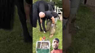 Horse ke foot ko marmmat karte hue  shorts viralshorts [upl. by Atwahs]