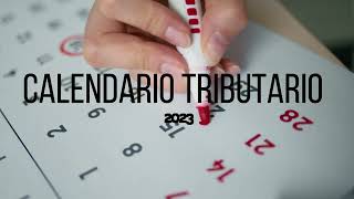 Calendario Tributario 2023 [upl. by Louanna]