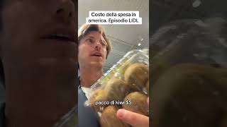 Quanto costa la spesa alla lidl in america costodellavitausacostospesausa [upl. by Androw734]