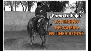 Arrendando Caballos  V17 ¿Cómo trabajr la Flexión Enanca en línea recta sin Barda [upl. by Syck976]