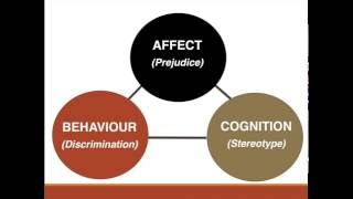 Prejudice Stereotypes amp Discrimination 1 of 2 [upl. by Dalli]