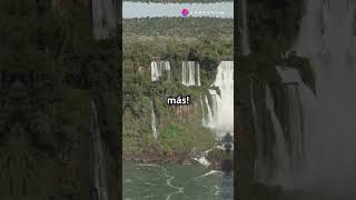 4 Datos Curiosos de Iguazú [upl. by Cogan]