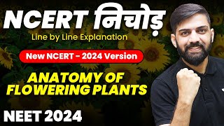 NCERT निचोड़ Anatomy of Flowering Plants  NCERT Biology Line by Line Explanation for NEET 2024 [upl. by Armilla]