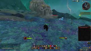 Scarab Scouting Quest ID 79122 WoW [upl. by Dillon]