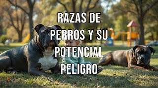 Razas de perros y su potencial peligro 🐕 [upl. by Orbadiah470]